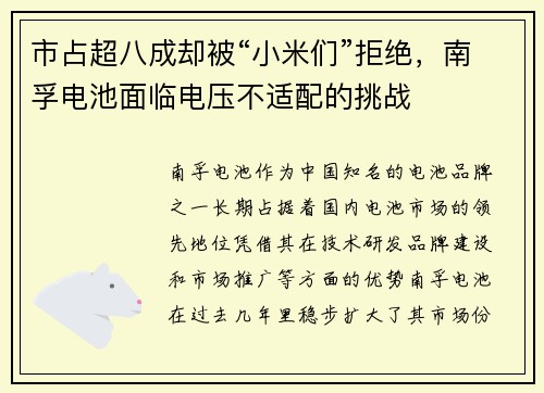 市占超八成却被“小米们”拒绝，南孚电池面临电压不适配的挑战