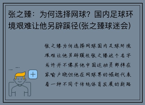 张之臻：为何选择网球？国内足球环境艰难让他另辟蹊径(张之臻球迷会)