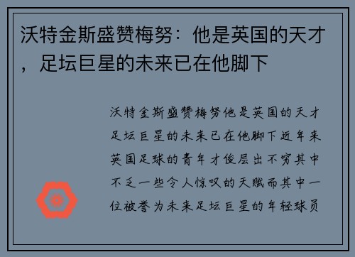 沃特金斯盛赞梅努：他是英国的天才，足坛巨星的未来已在他脚下